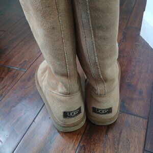 Tan Tall Uggs with Zipper